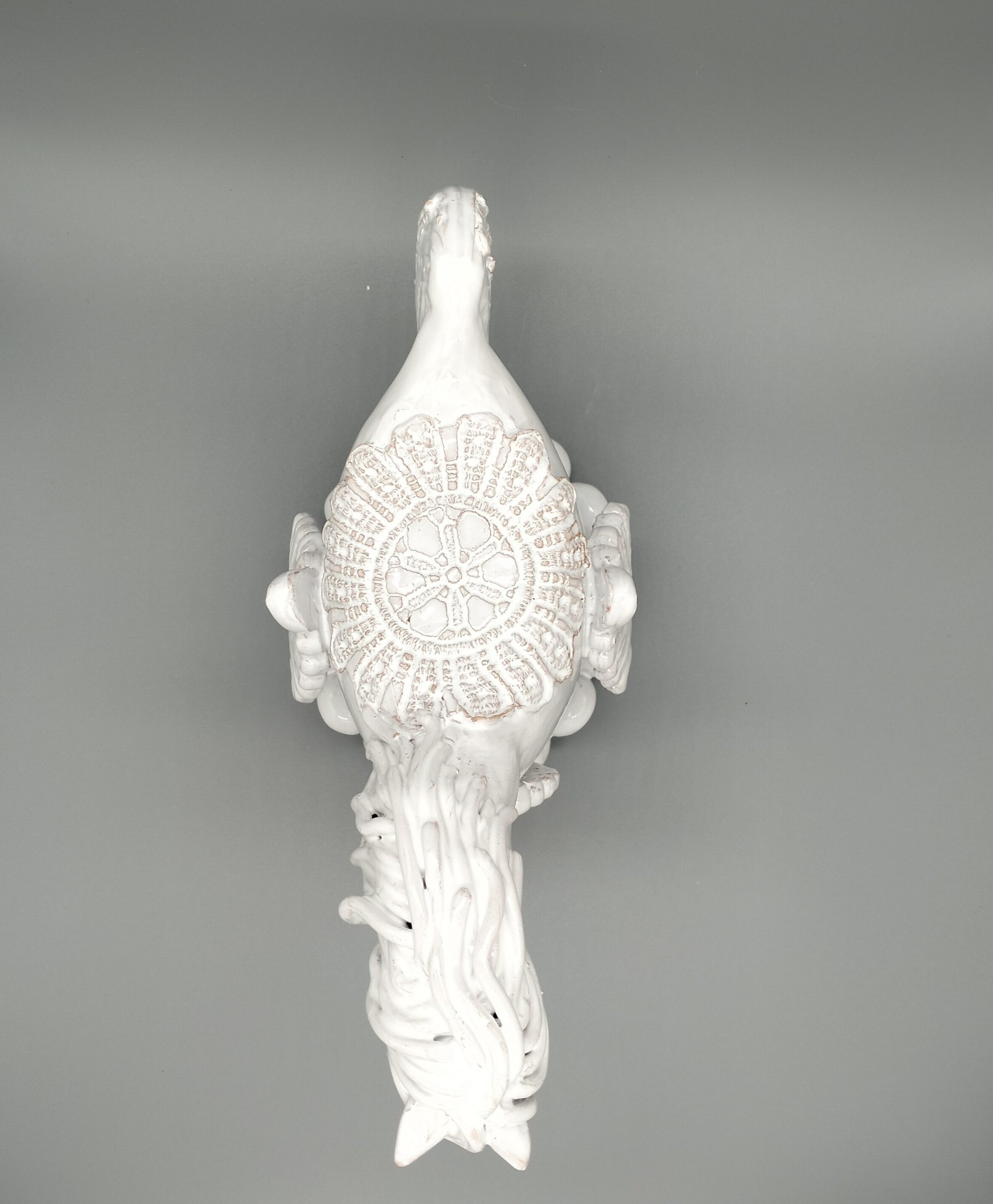 Cavalli Bardati - Salentina - immagine 4