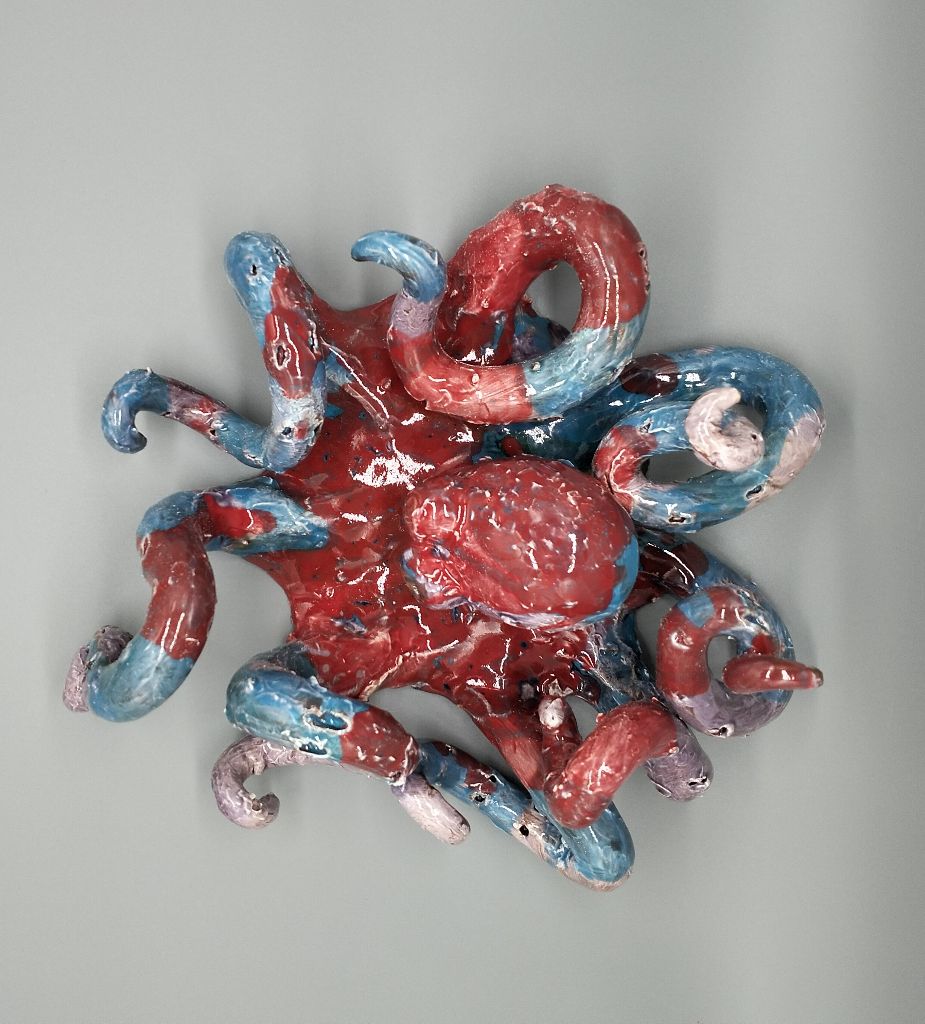Polpo - immagine 2