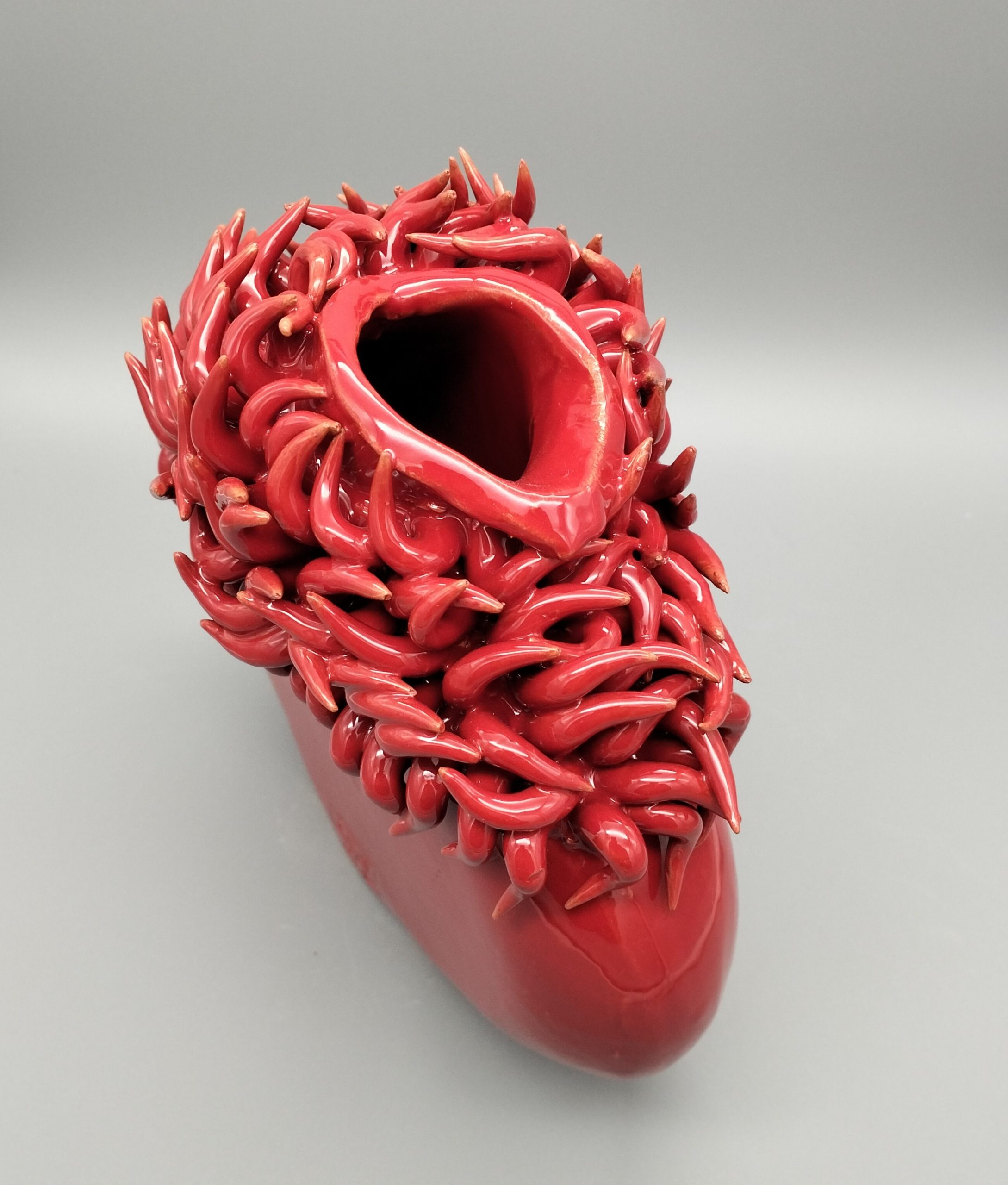 Vaso Anemone Rossa - immagine 3